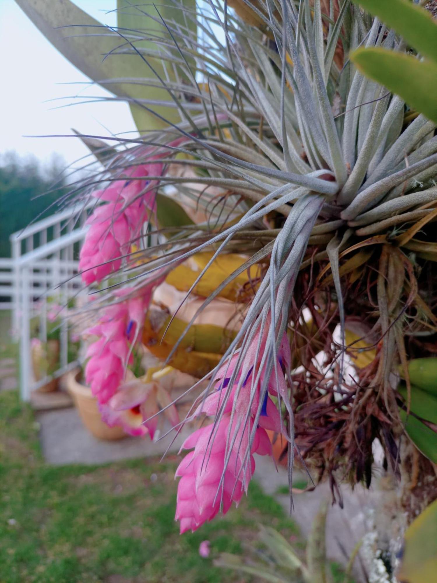 Pousada Confraria Da Terra Campos do Jordão 外观 照片