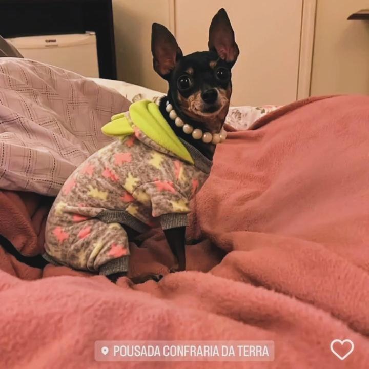 Pousada Confraria Da Terra Campos do Jordão 外观 照片